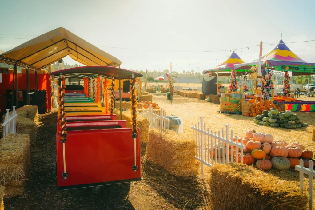 kiddie train ride on left and pumpkin patch on right