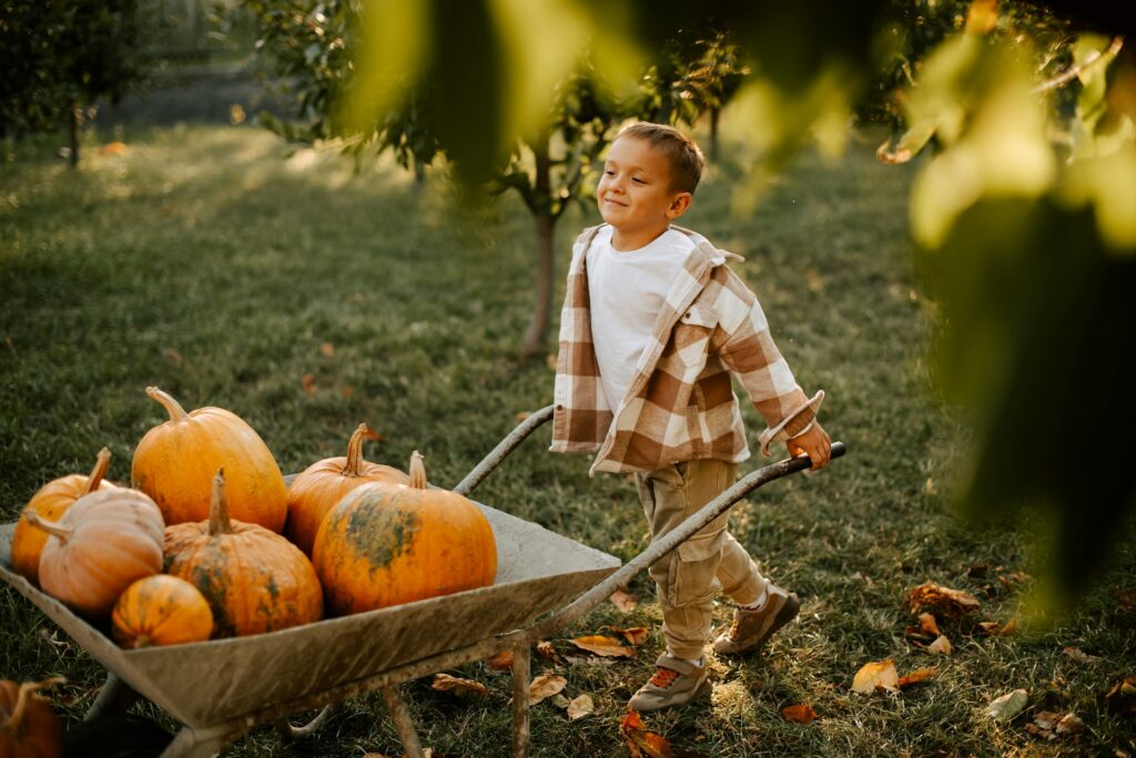 boy pushing wheelbarrow with pumpkins