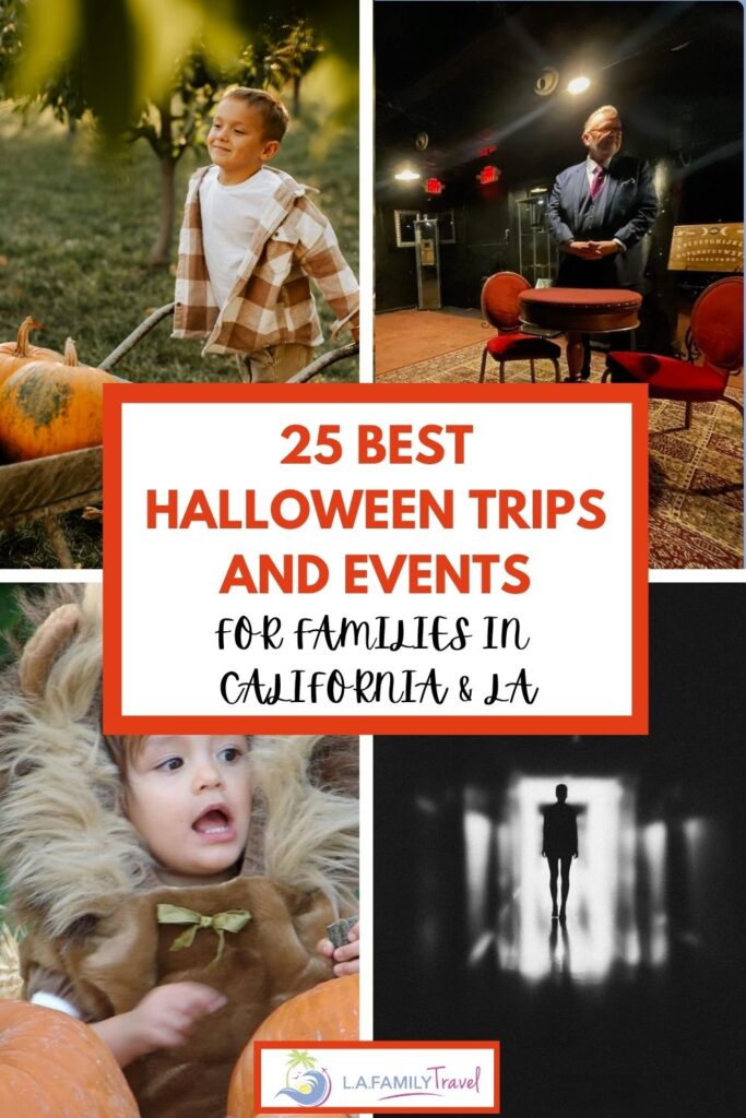 Halloween Trips pin