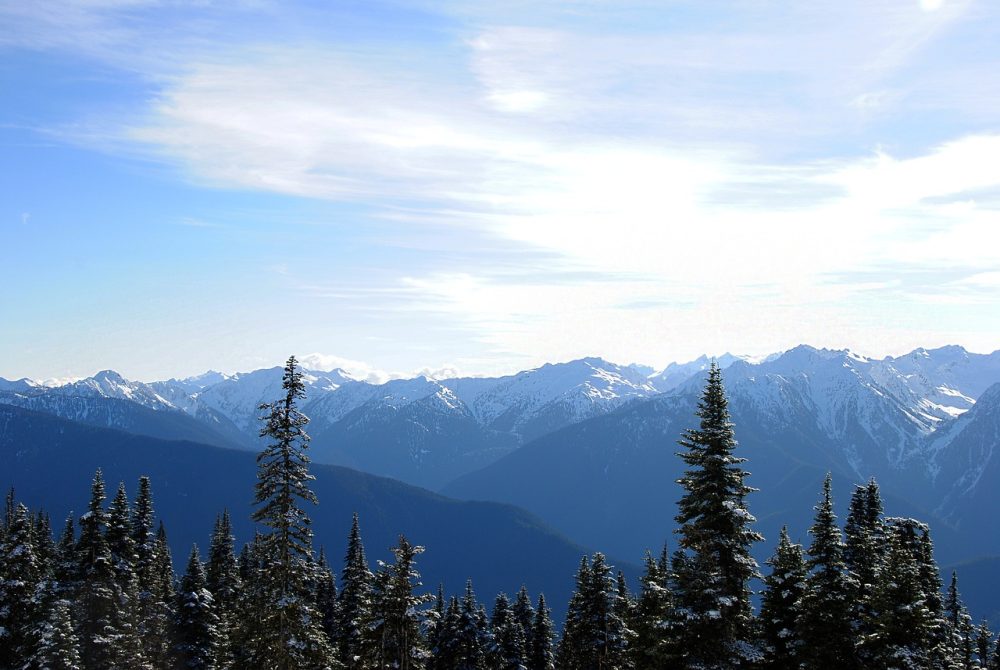 Washington's Olympic National Park in winter