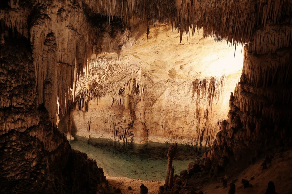 Carlsbad Caverns National Park in New Mexico