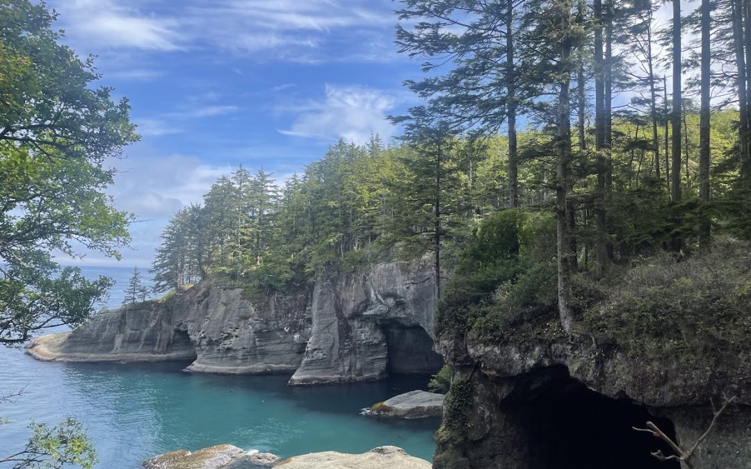 Don’t Miss These Best Things To Do In Olympic National Park for Families