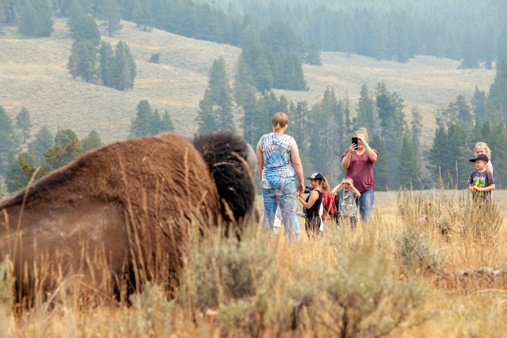 family posing for picture next to large yak - Vacation Spots for Teens in the U.S.