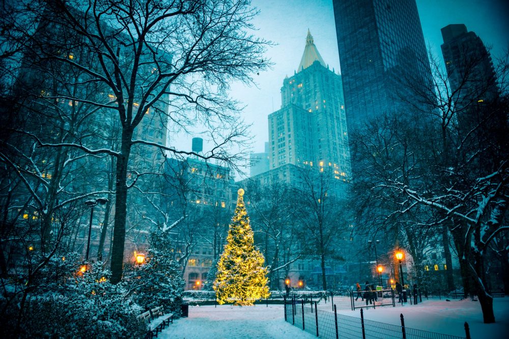 Christmas in New York- Twinkling tree in Madison Square Garden