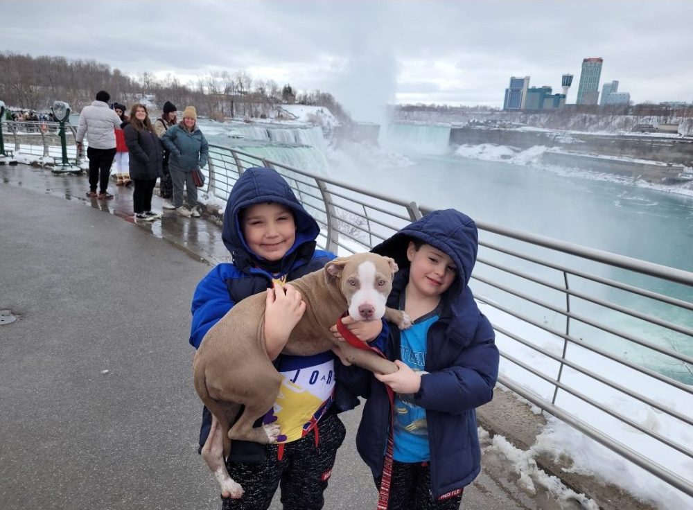 Boys and puppy in front of the falls - Niagara Falls in winter