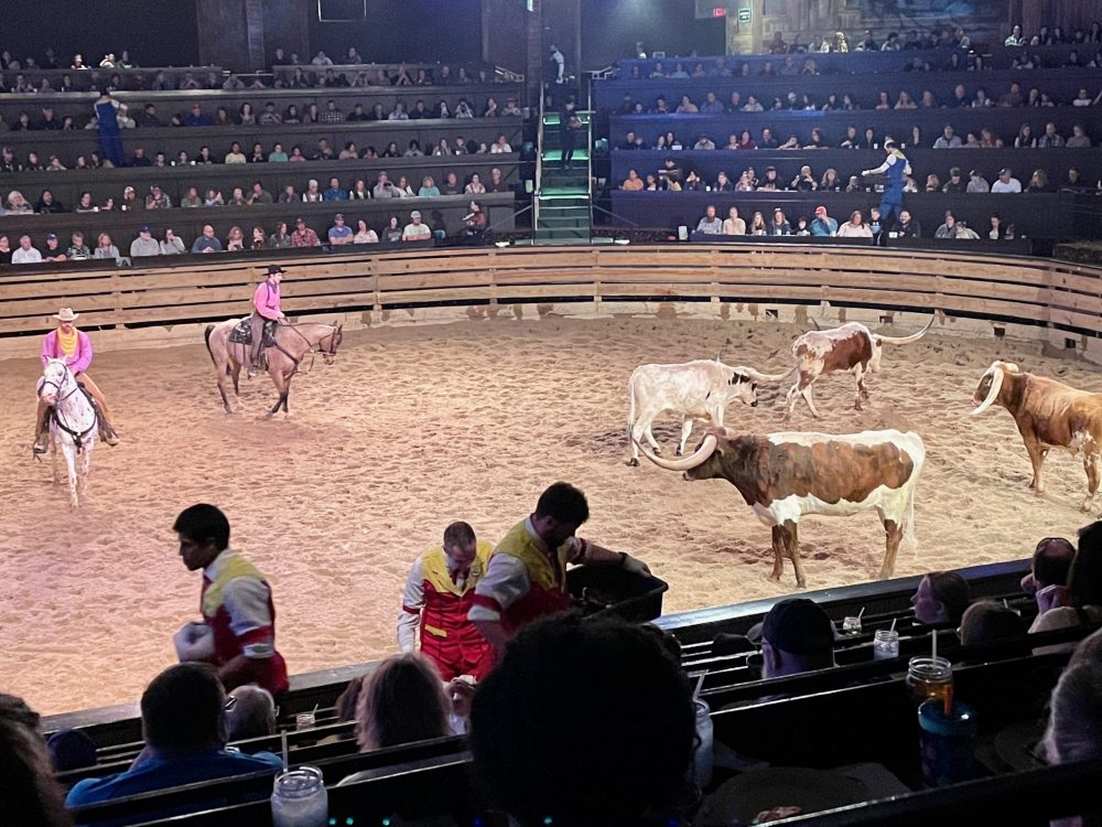 horses and cowboys in show arena - branson family vacations