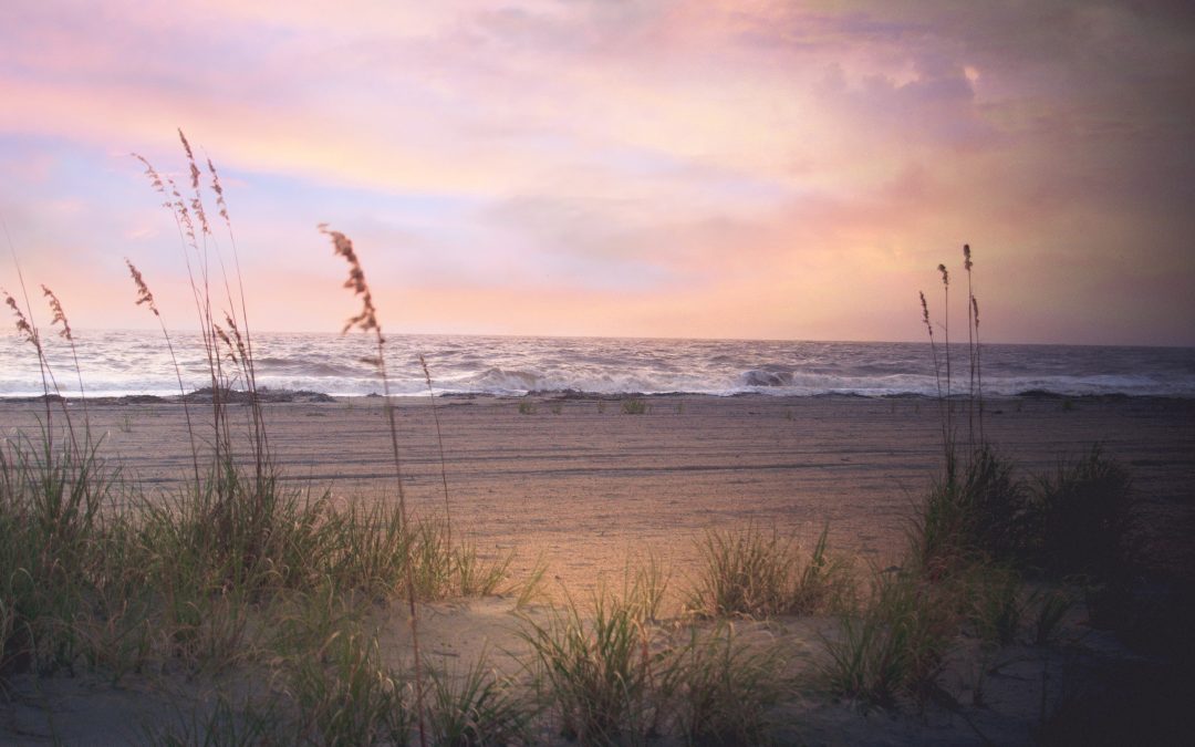 Tybee Island, Your Unexpectedly Wonderful Winter Break Family Vacation