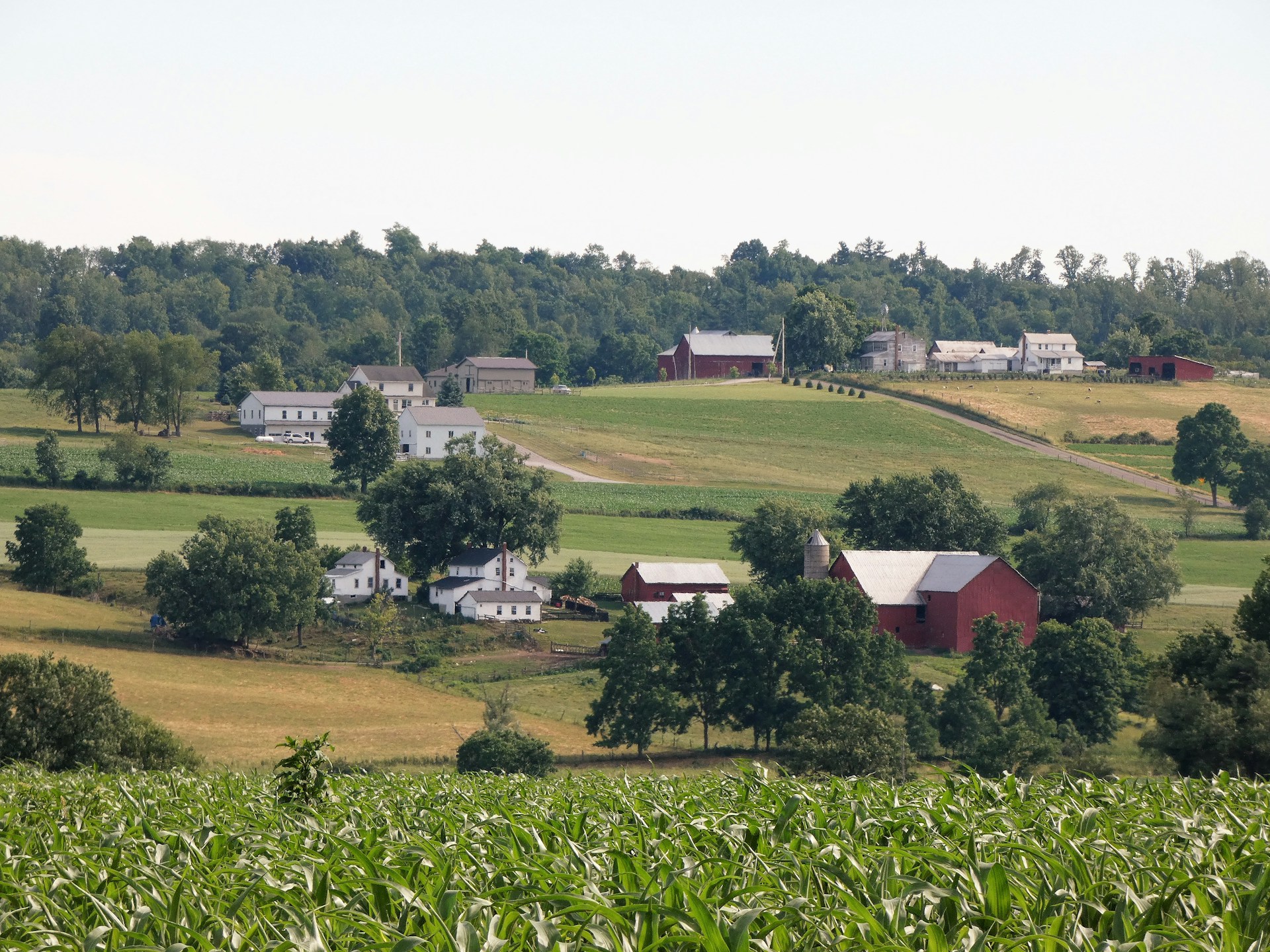 View of Amish farm. Romantic cabin getaways in Amish Country Ohio.