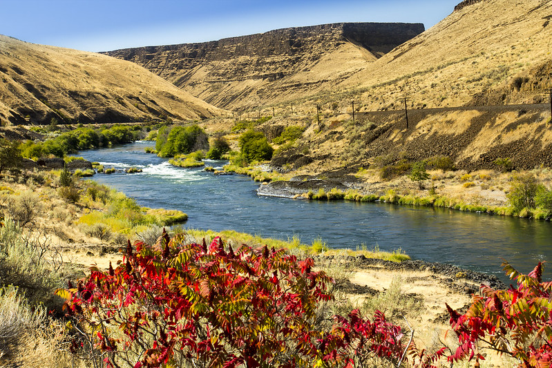 river with flowers at banks - family things to do in bend oregon
