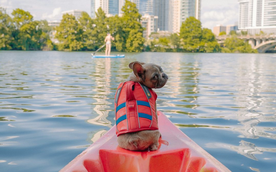 Don’t Forget These 6 Essential Safety Gadgets For Family Travel