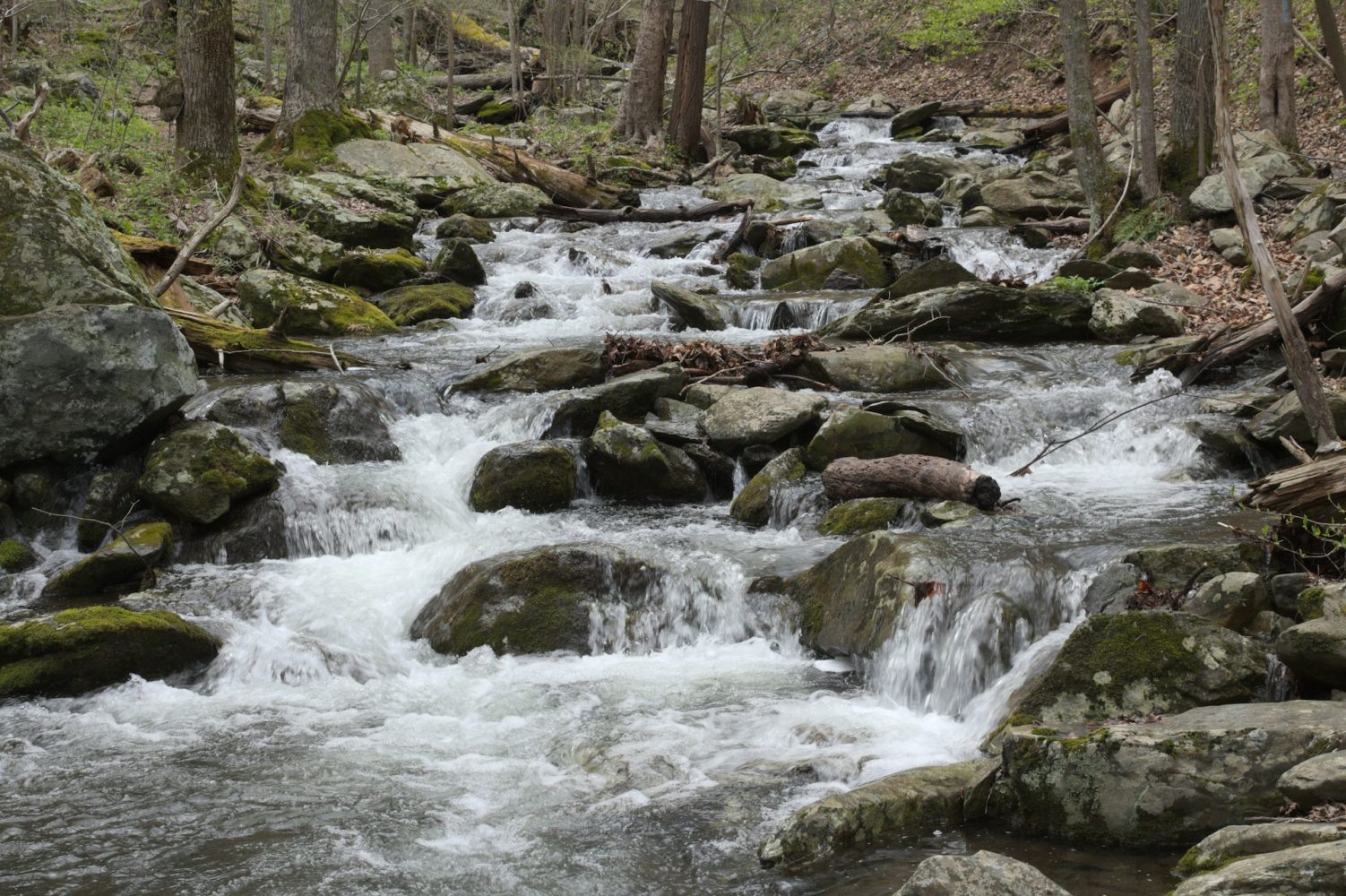 Stream in the Shenandoah National Park. Romantic cabin getaways with hot tubs in Virginia. 