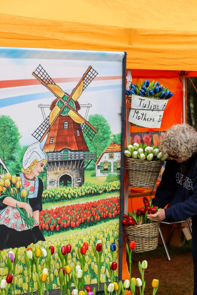 Person inspecting tulips in basket by artwork - Tulip Time in Holland Michigan