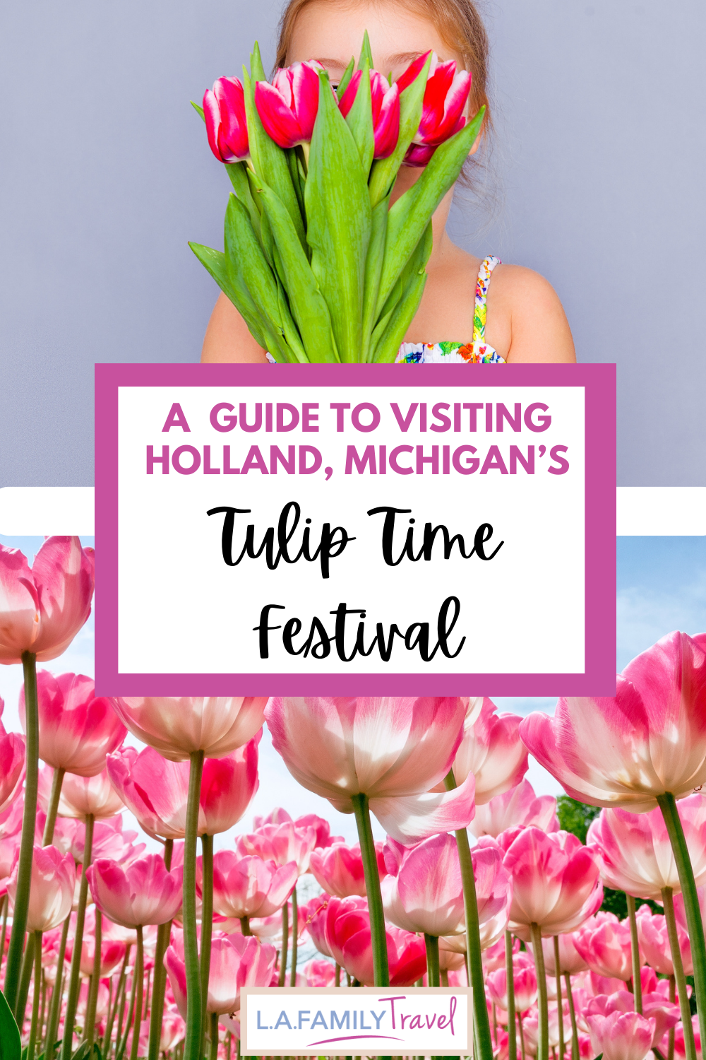 Pin Holland, Michigan