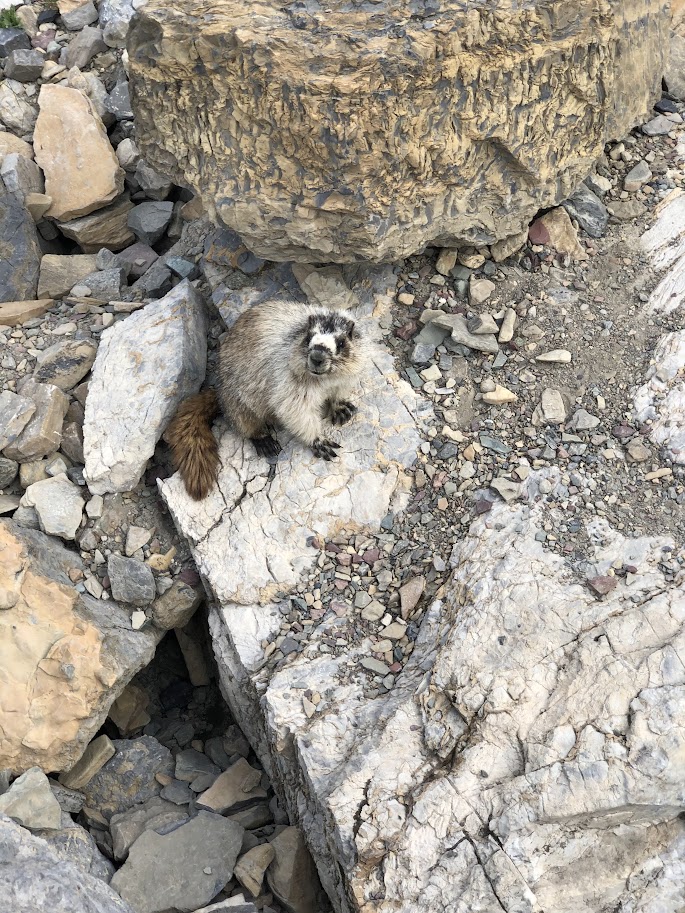 Glacier National Park, family travel, best adventure vacations for families in USA