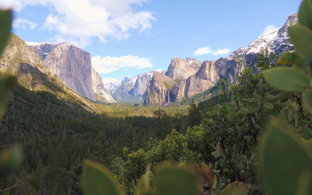 Rush Creek Lodge & Spa: A Review Of This Yosemite Resort