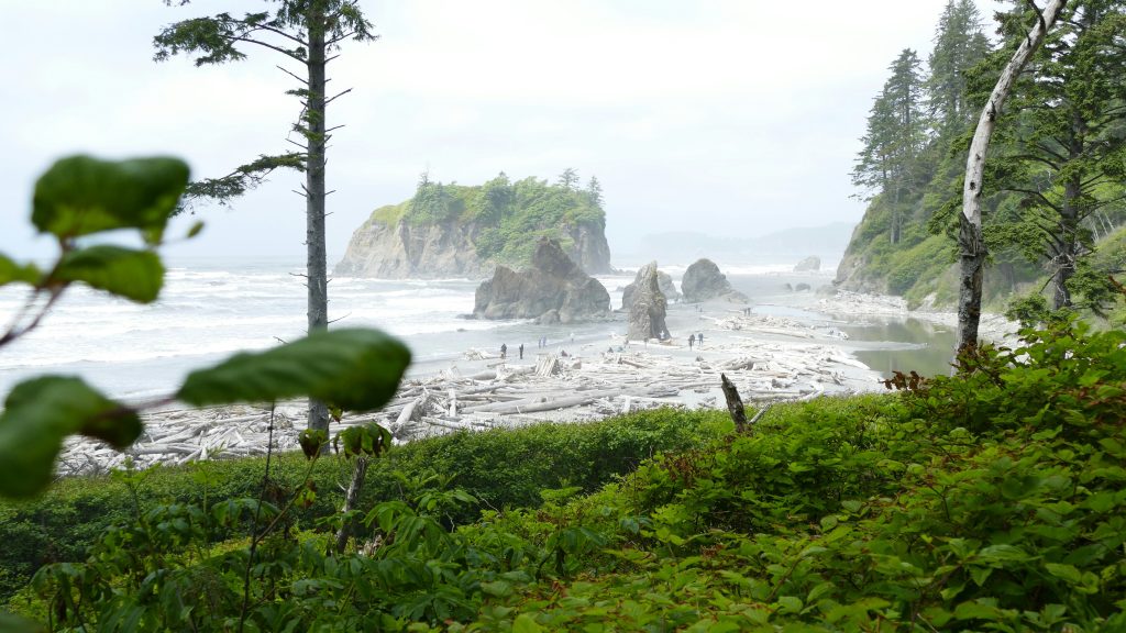 washington coast, best weekend getaways for family in washington state, olympic national park