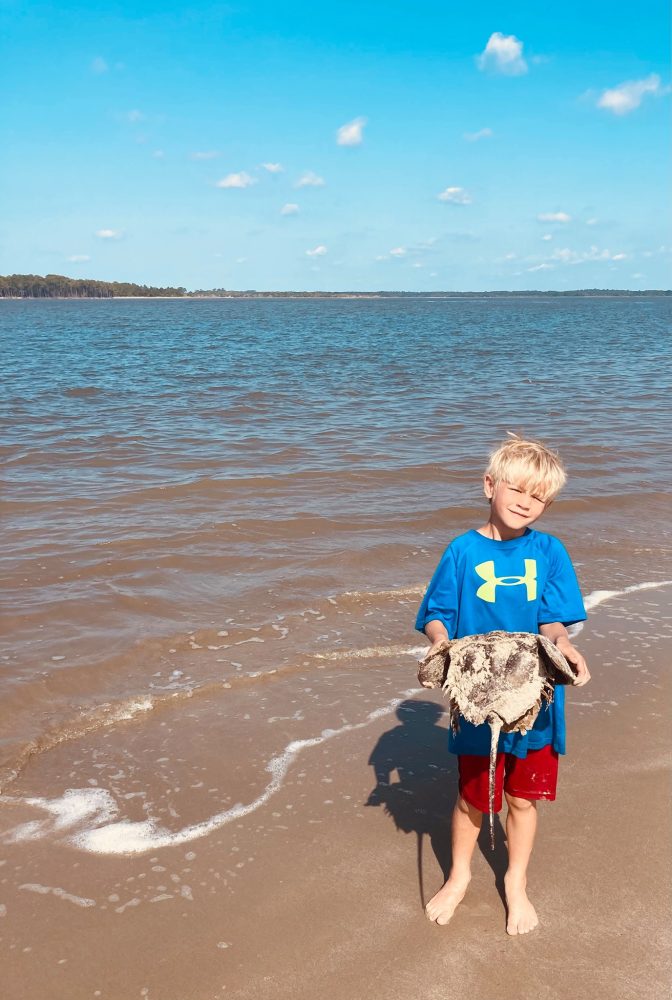 little boy holding a horseshoe crab