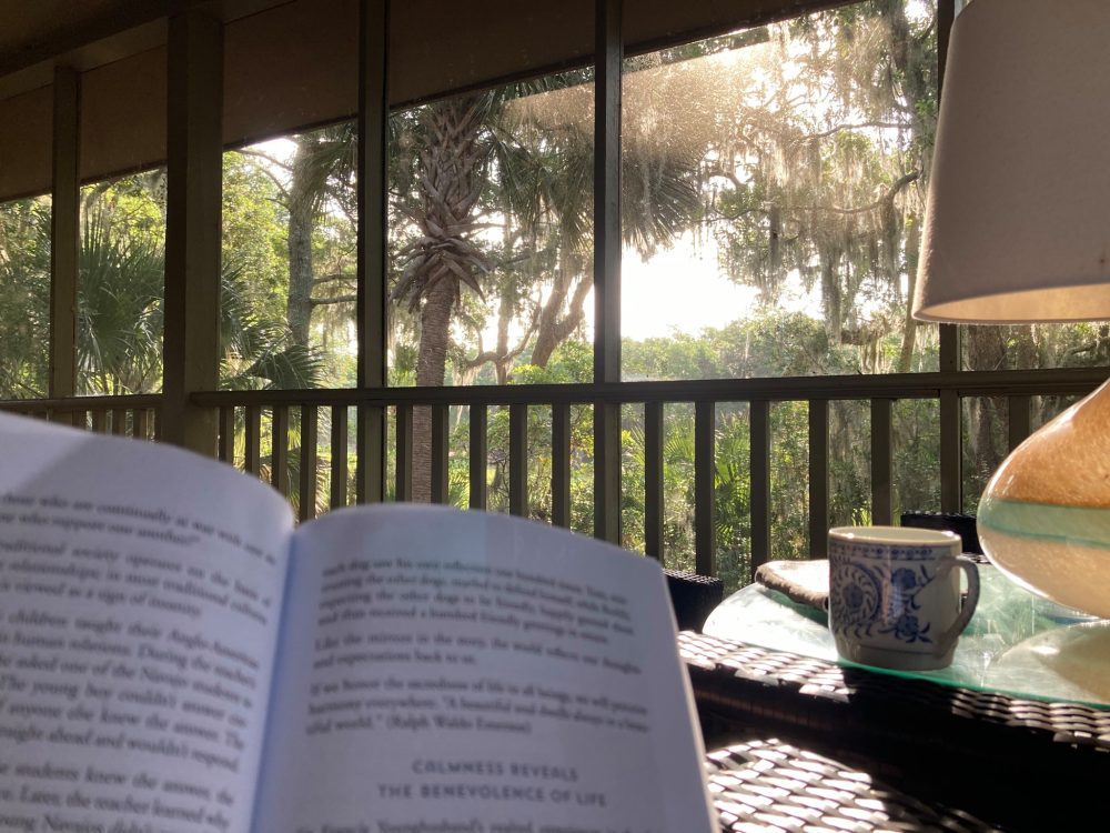 coffee and reading on the porch in seabrook