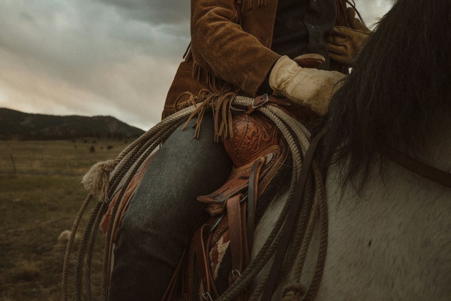 taylor-brandon-x7K0cE82DZs-unsplash Woman riding horse with saddle and rope. Family ranch vacations Texas.