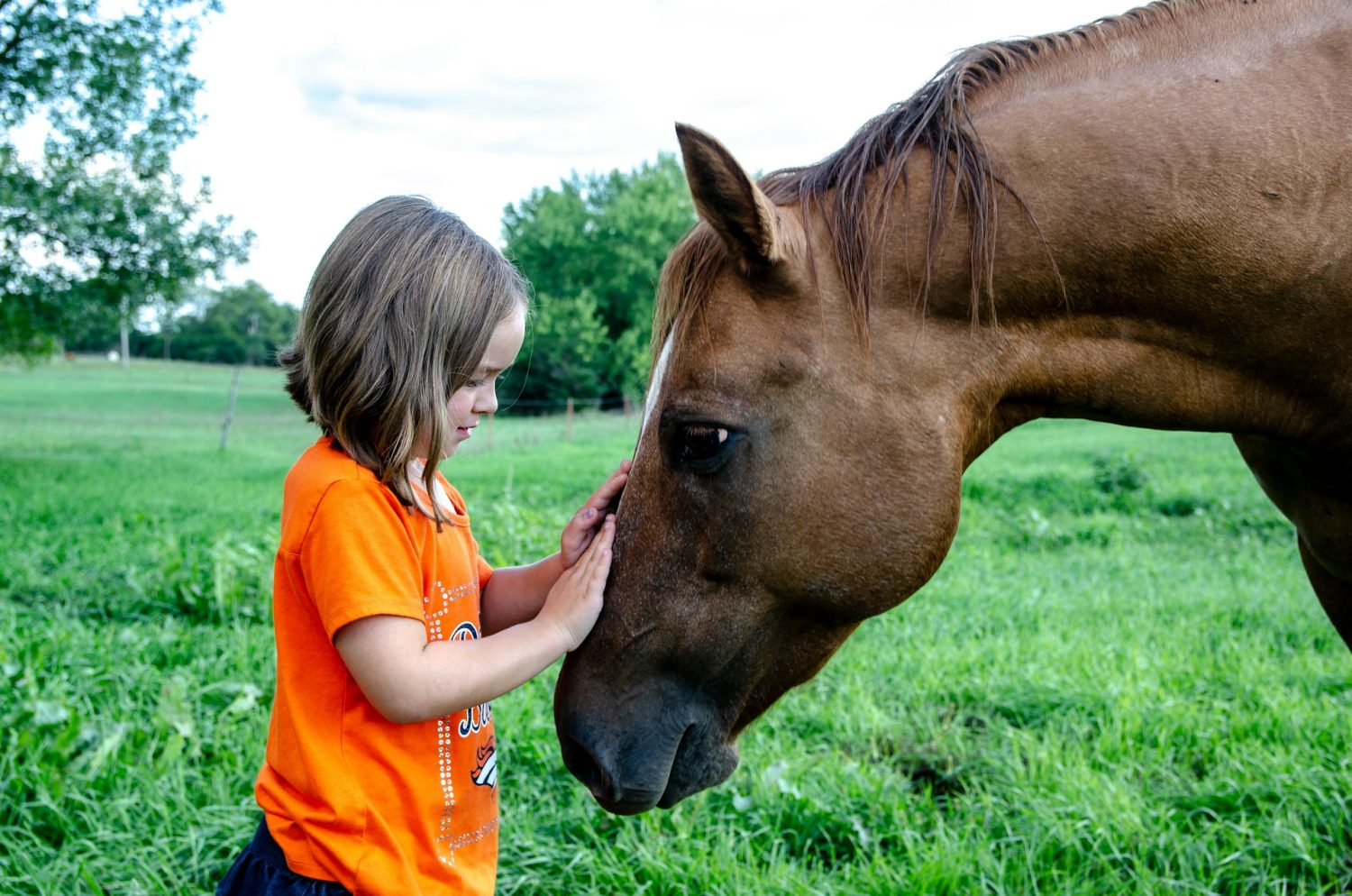 Young girl petting horse. Family ranch vacations Texas.