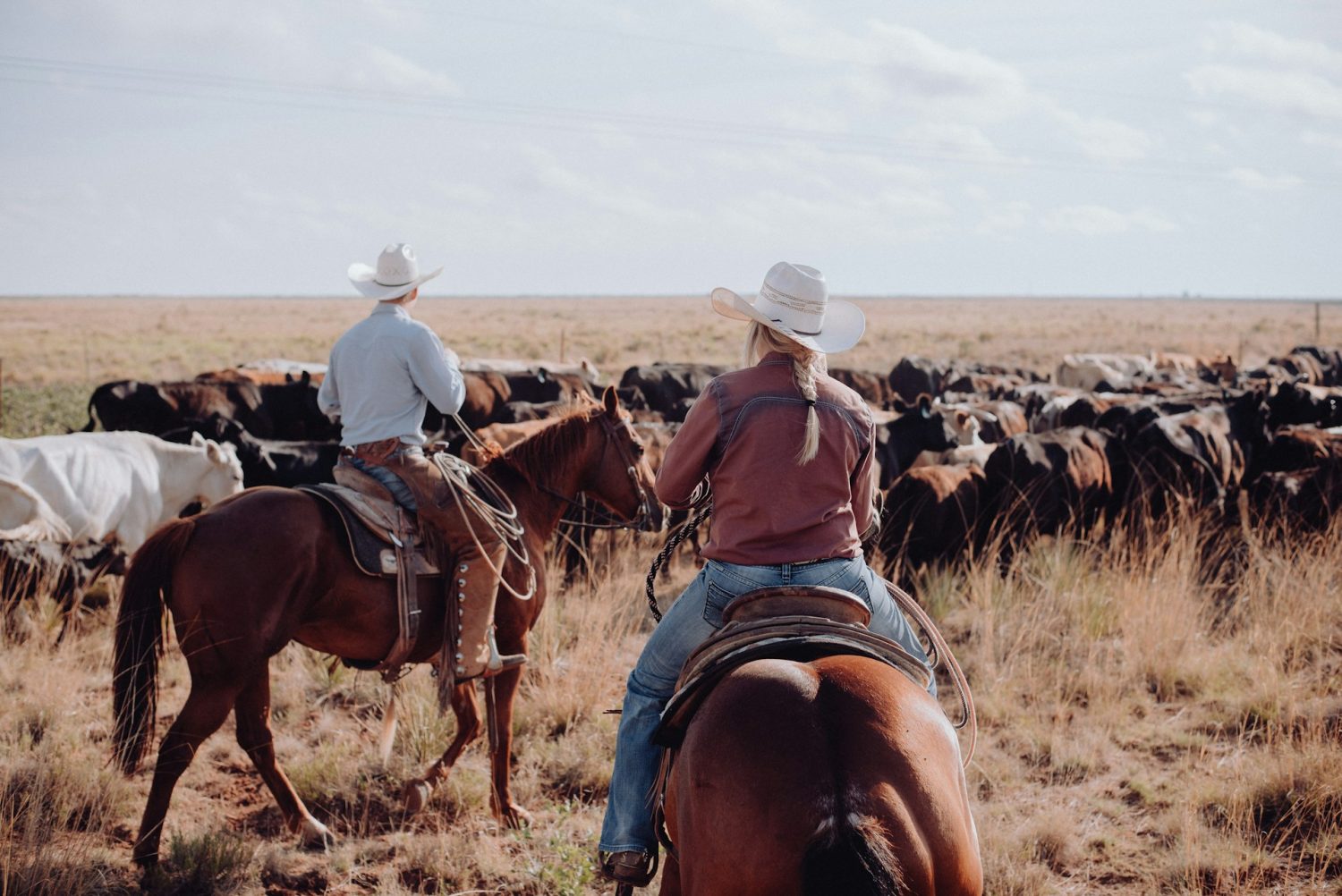 Ranchers on a cattle drive. Family ranch vacations Texas.