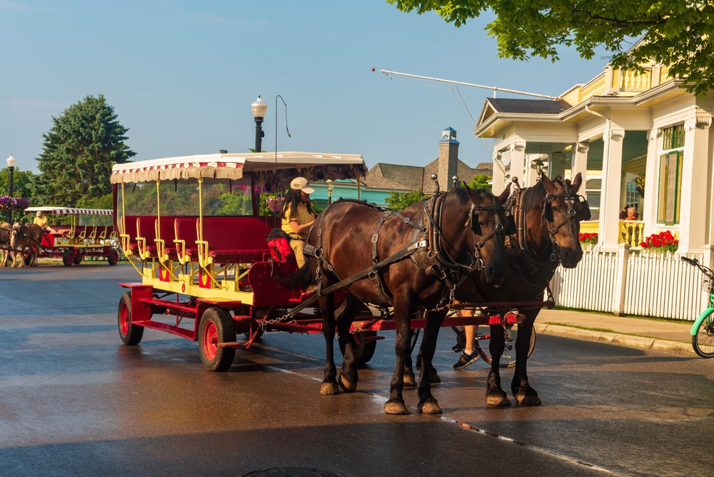 horse carriage on Mackinac Island