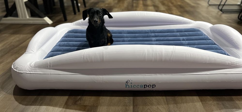 Dachshund sitting proudly on an inflated toddler bed.