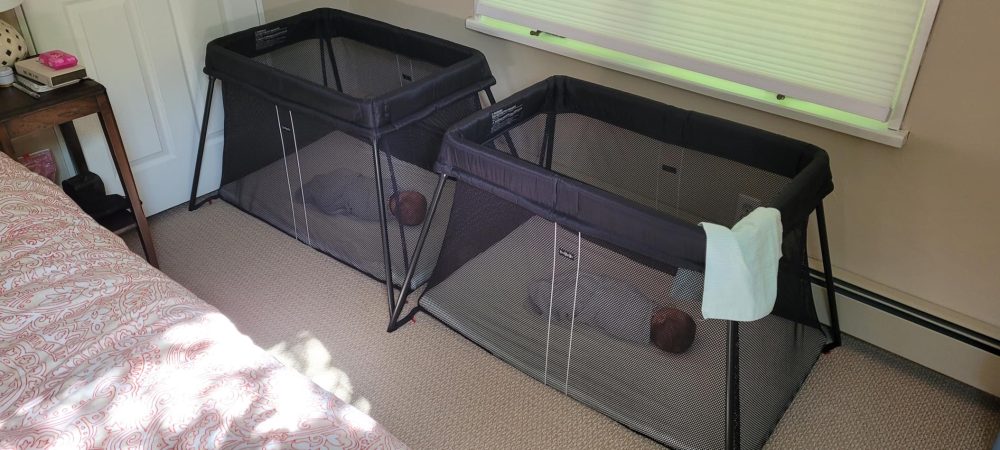 Two BabyBjörn Travel Cribs Light set up with two sleeping babies