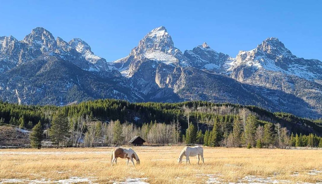 These 10 Dude Ranches Are ‘Yellowstone’ In Real Life, Packed With Adventure