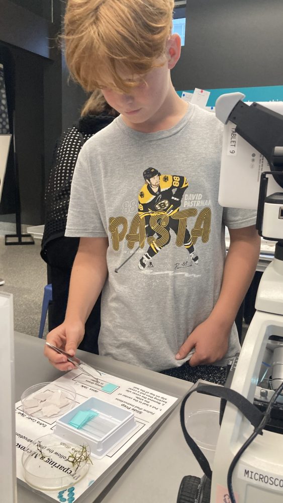 boy at museum in Ann Arbor