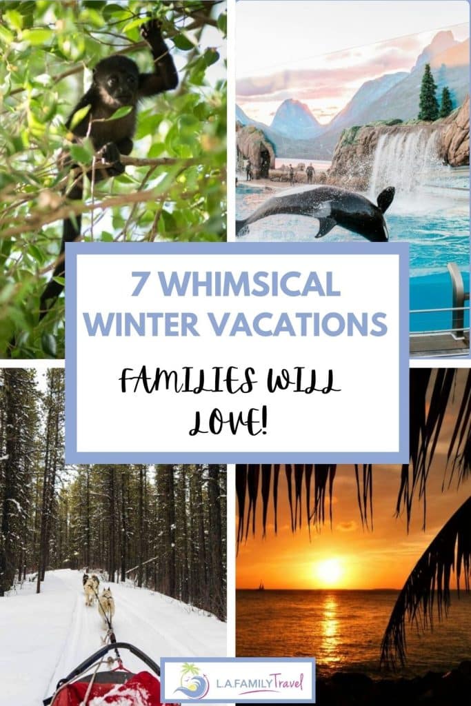 WINTER FAMILY VACATION PIN