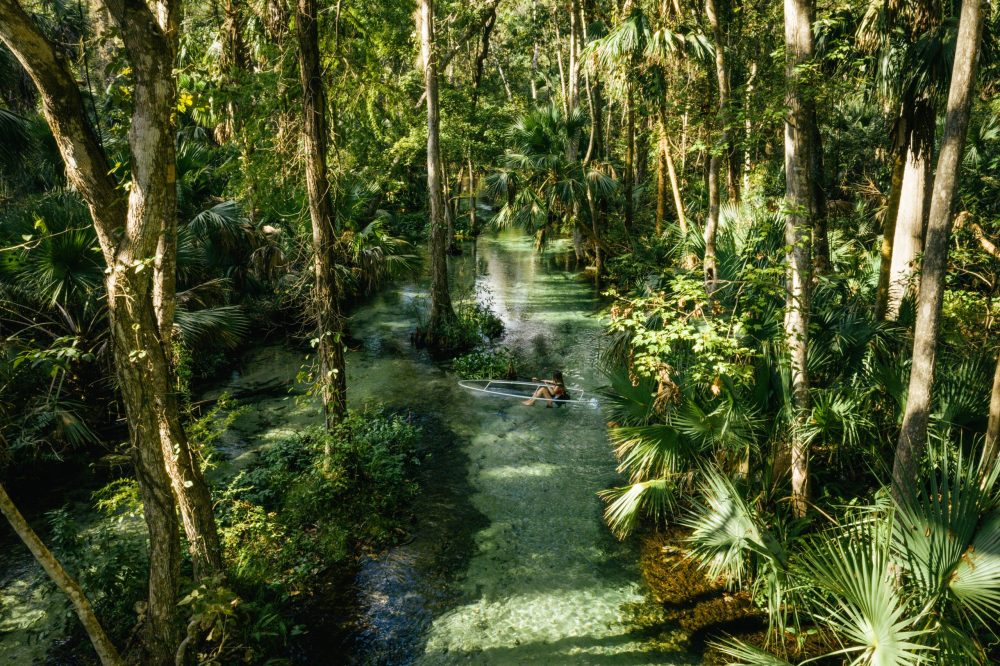 Rock Springs kayak trip through Florida springs