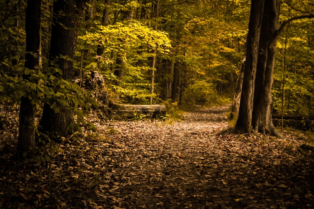 Griffy Lake Nature Preserve in Bloomington