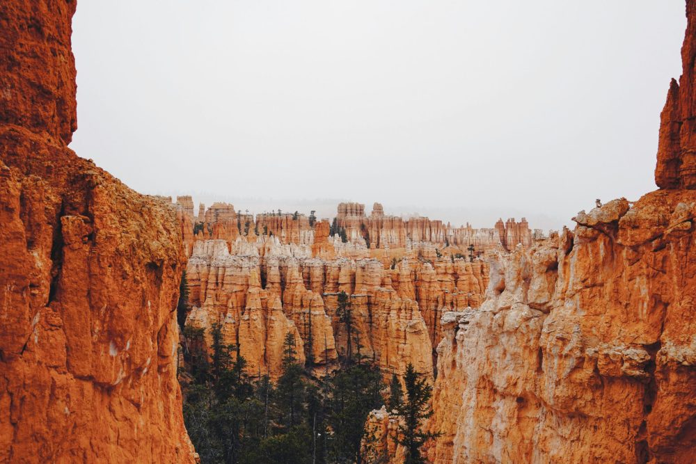 Red Rock formations at Bryce