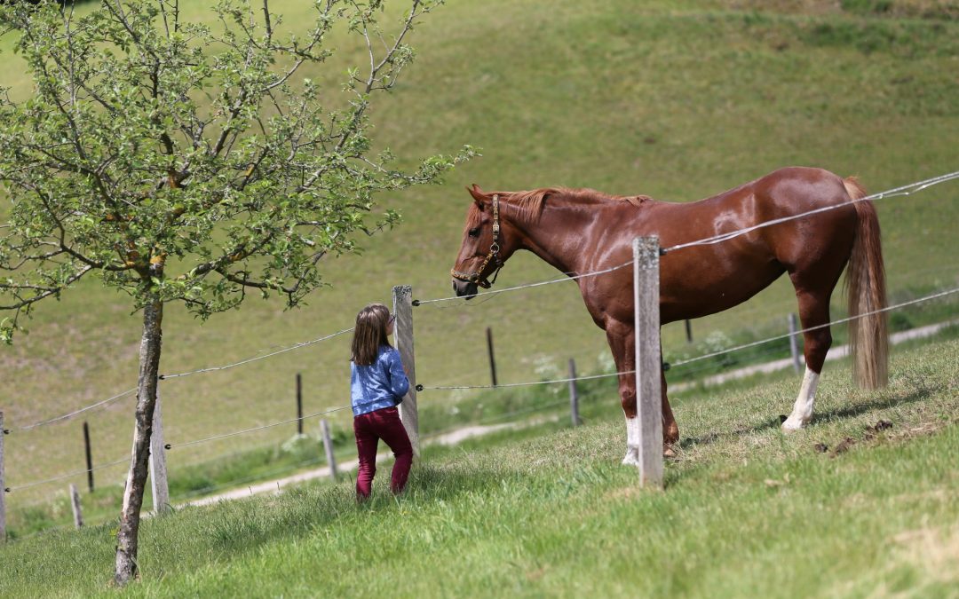 Giddy Up At These 6 Incredible Family Horseback Riding Vacations
