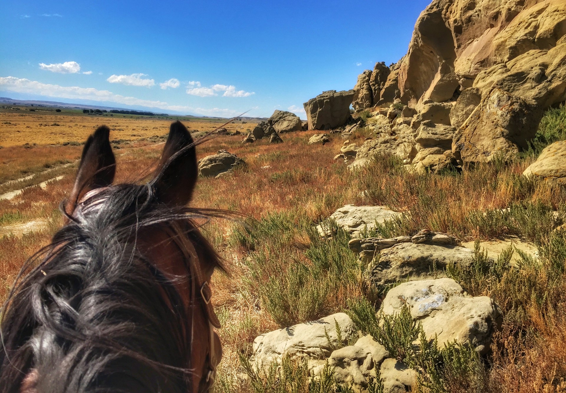 POV riding horseback through mountains. Family horseback riding vacations. 