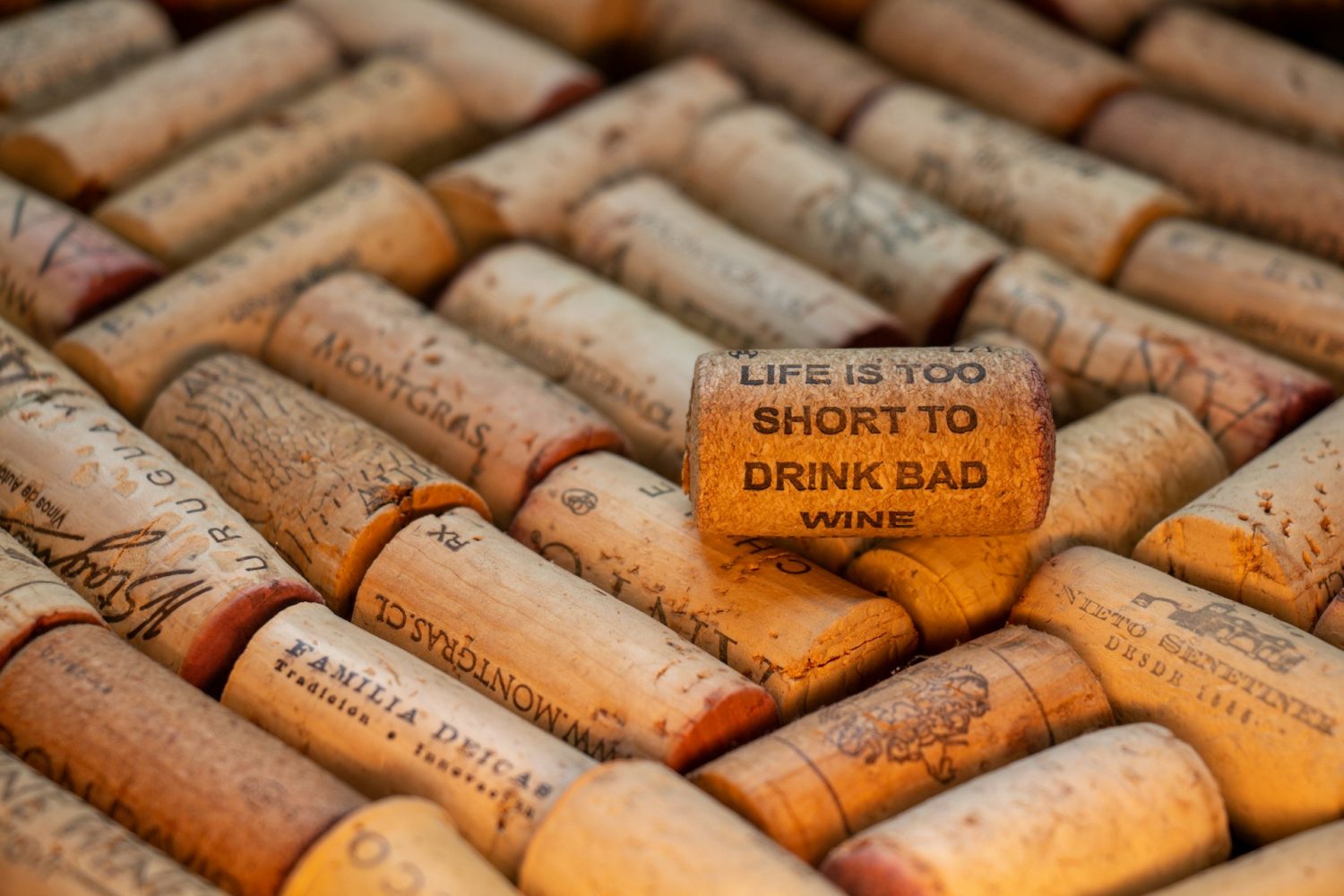 Cork with funny saying. Life is too short to drink bad wine. Finger Lakes wineries.