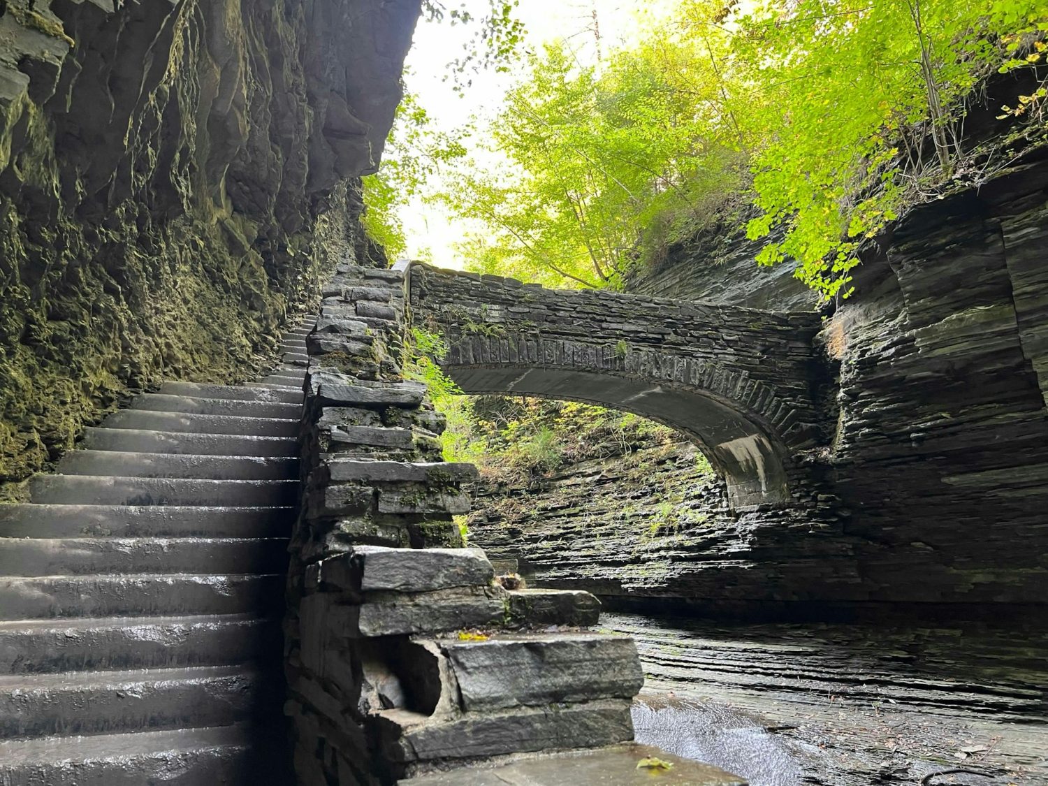Watkins Glen State Park. Best Finger Lakes wineries.