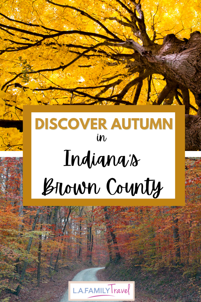 pin it brown county