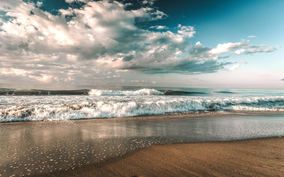 Exploring the Atlantic Coast: The Top 17+ Things to Do in Myrtle Beach for Families