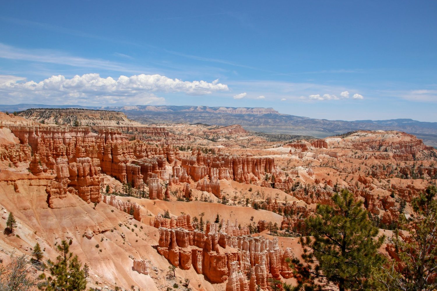 Hoodoos in Bryce Canyon. best national parks in the United States.