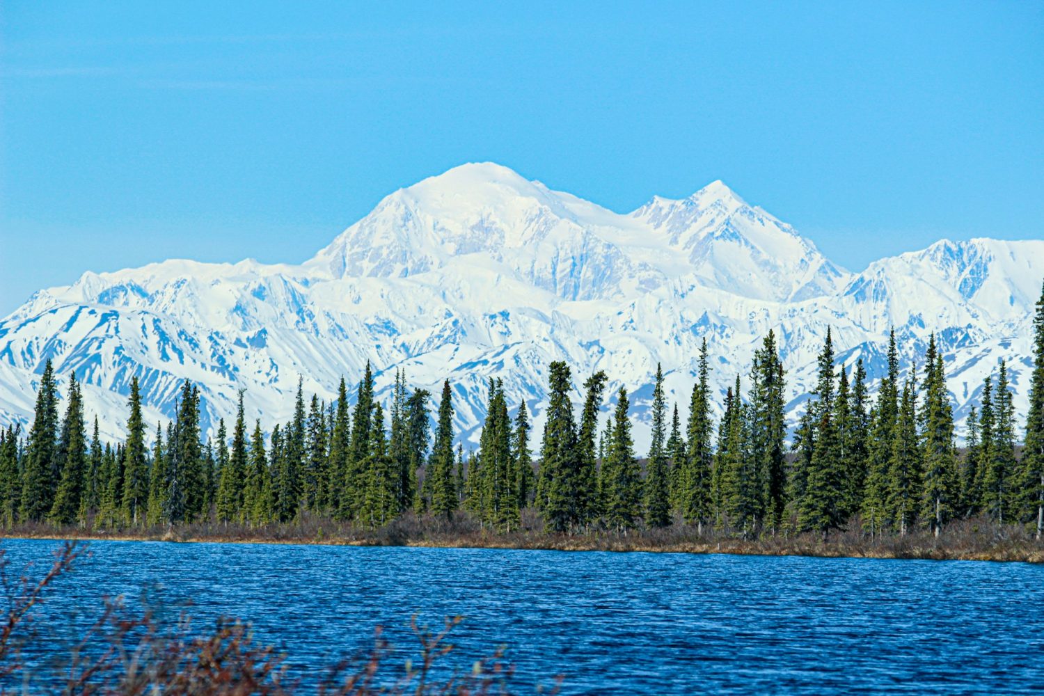 Picture of mountains in Denali. One of the top 20 National Parks in the US