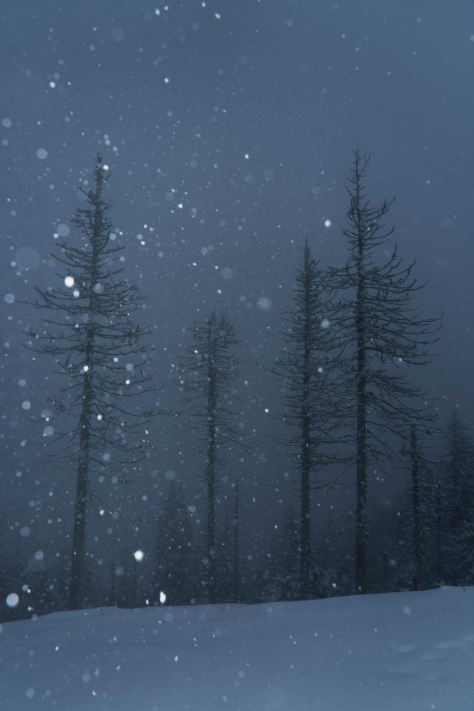 snowy winter night
