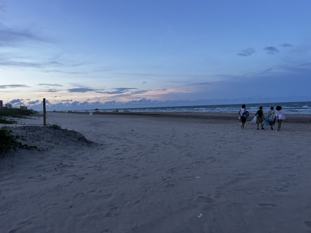beach on south padre island