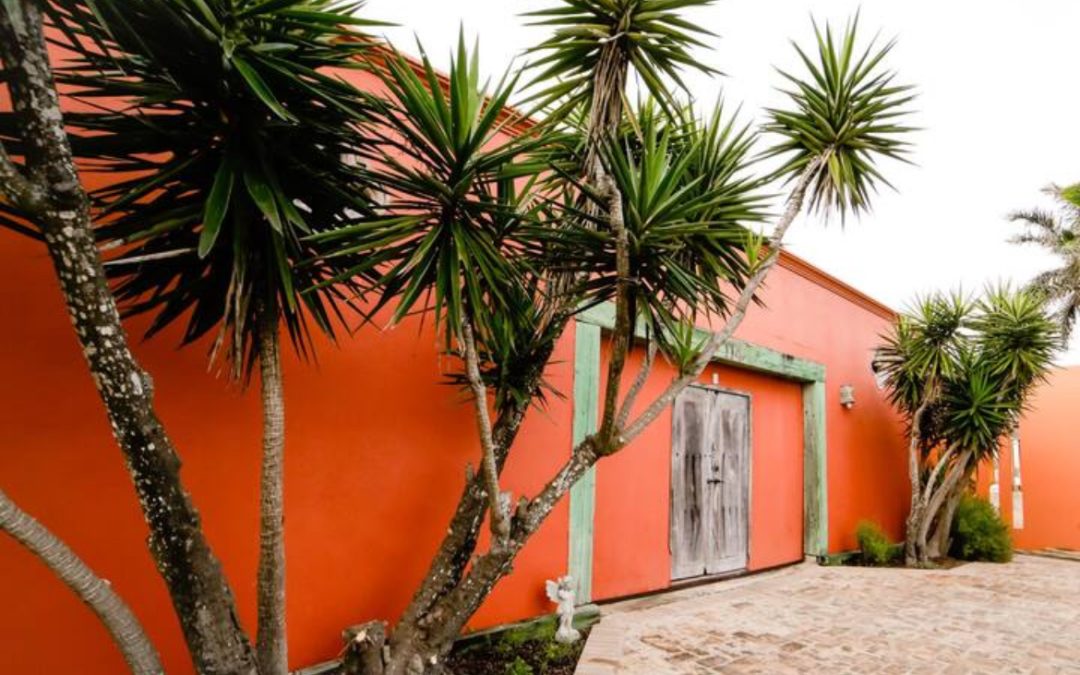 A Californian Family Finds The Best Things To Do On South Padre Island With Teens