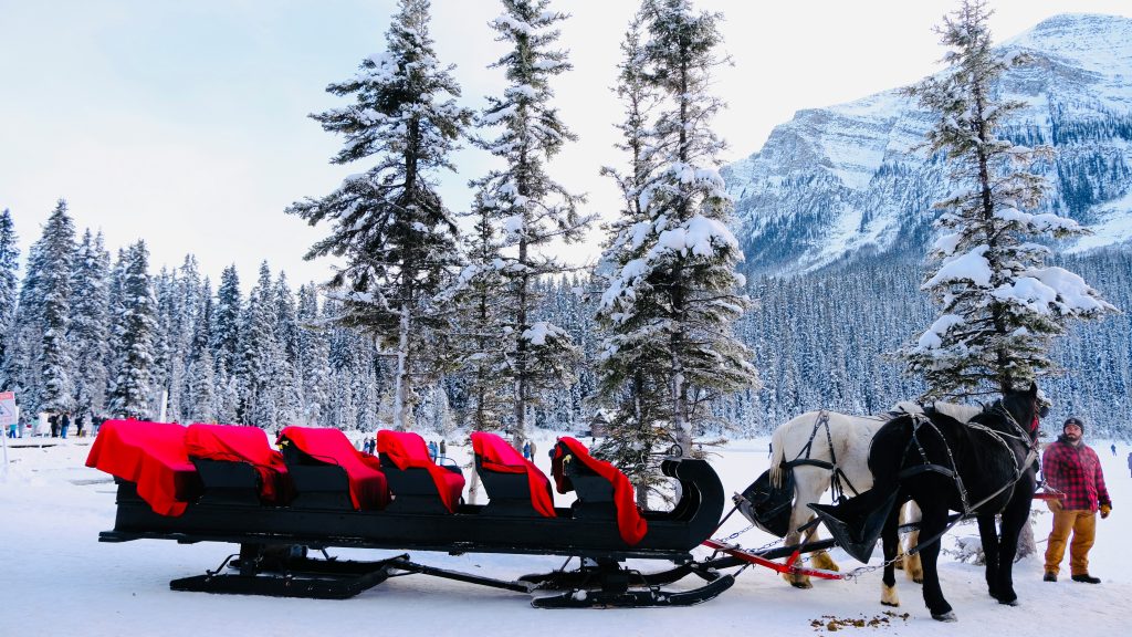 Horse-drawn sleigh rides in Park City