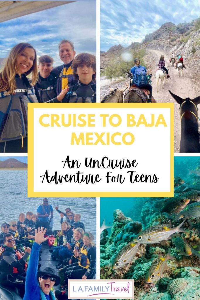 cruise to baja mexico pin