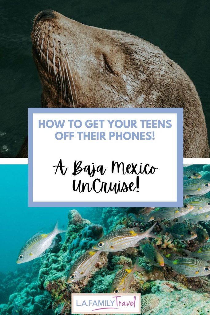 CRUISE TO BAJA MEXICO