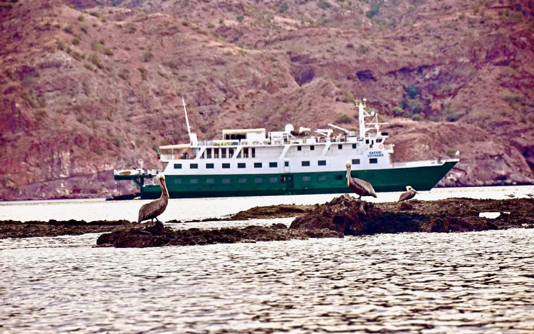 This Cruise To Baja Mexico Finally Got Our Teens Off Their Phones