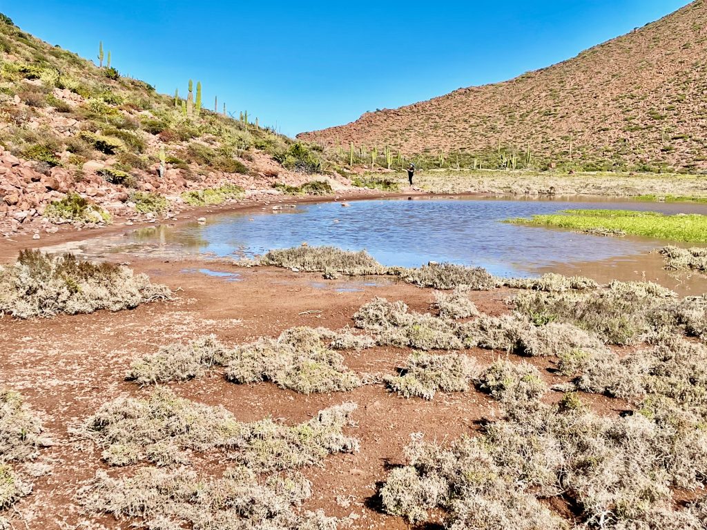 desert island with pond in middle